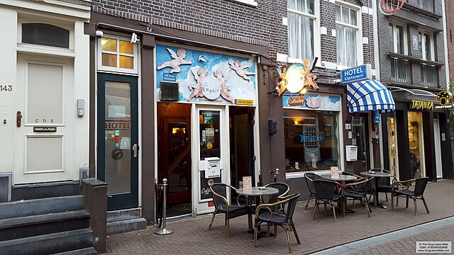 best-coffee-shops-in-amsterdam-2025